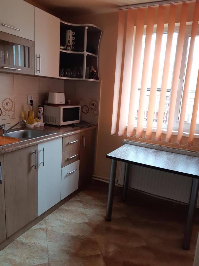 Vila Georgeta Zărneşti Εξωτερικό φωτογραφία