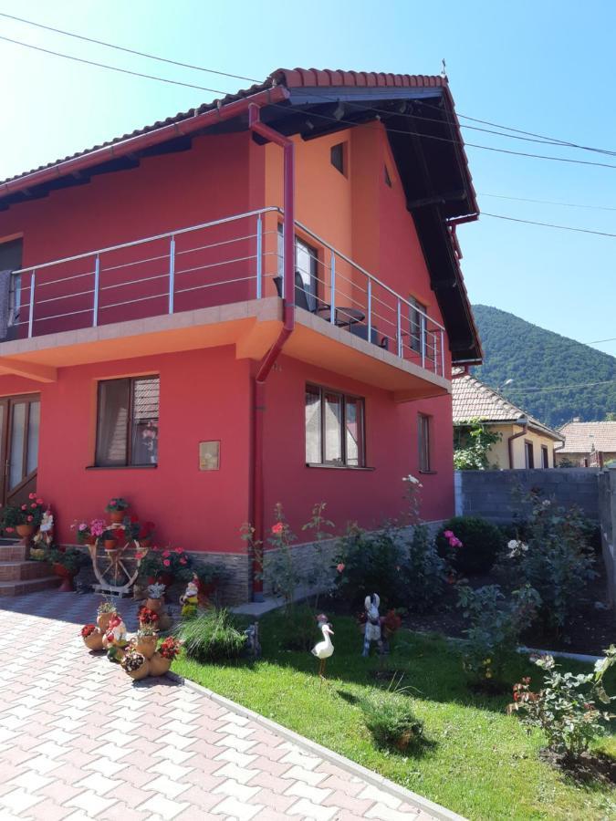 Vila Georgeta Zărneşti Εξωτερικό φωτογραφία