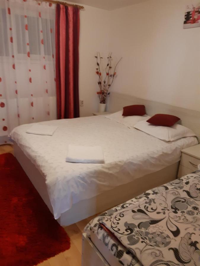 Vila Georgeta Zărneşti Εξωτερικό φωτογραφία