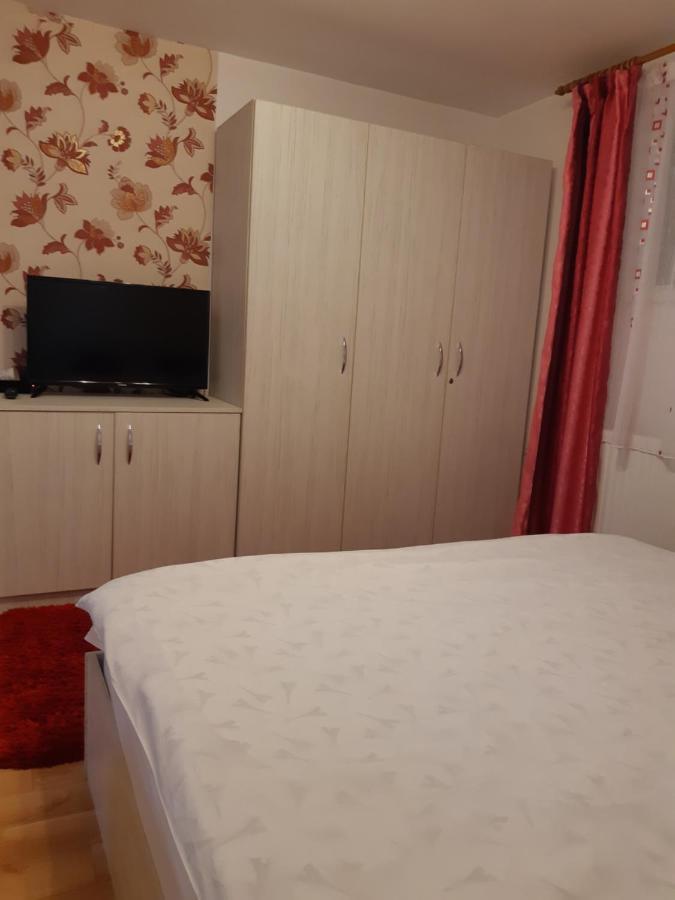 Vila Georgeta Zărneşti Εξωτερικό φωτογραφία
