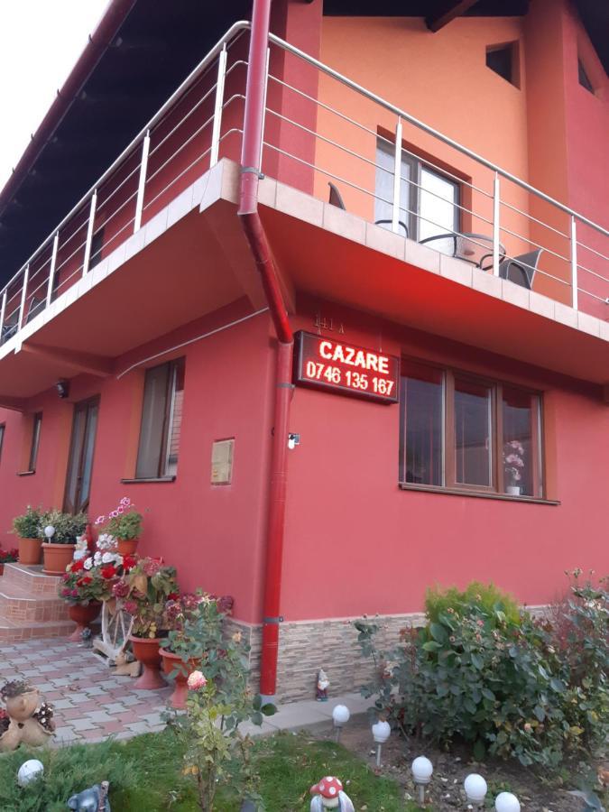 Vila Georgeta Zărneşti Εξωτερικό φωτογραφία