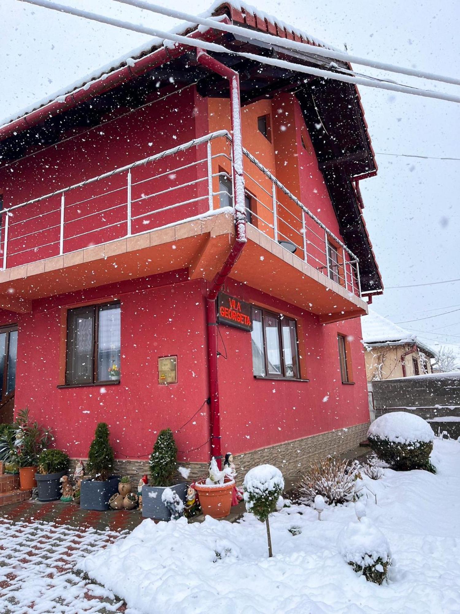 Vila Georgeta Zărneşti Εξωτερικό φωτογραφία